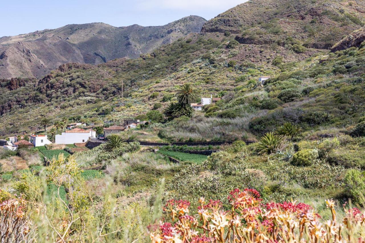 Home2Book Nature Carrizales And Masca House & Wifi บูเอนาวิสตา เดล นอร์เต ภายนอก รูปภาพ